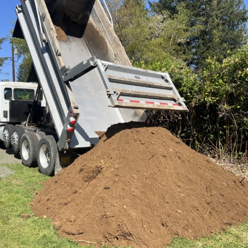 SANDY LOAM